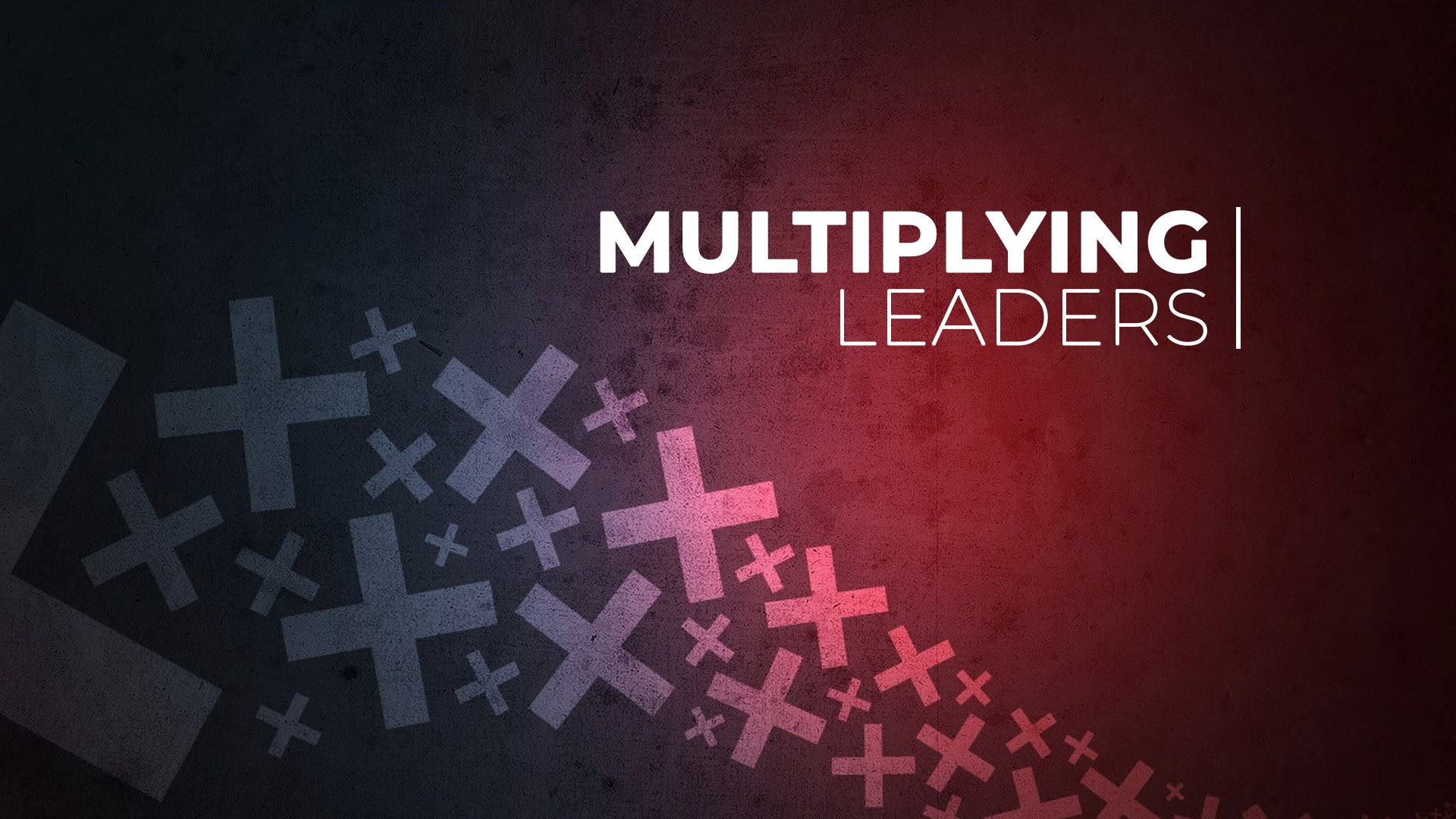 Multiplying Leaders